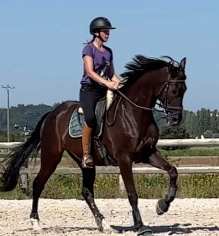 Camille  REY Monitrice Cavalière et monitrice , formée au cadre noir de Saumur auprès de Loic  DEVEDU , Vice champion du Monde